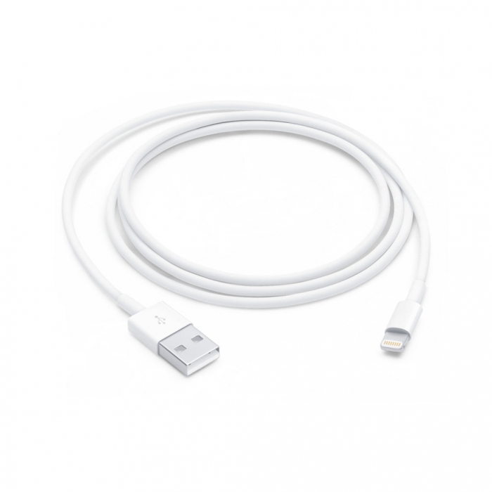 Apple Lightning to USB Cable (1M)