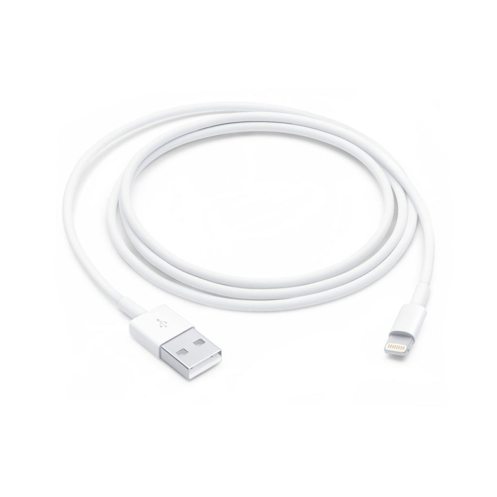 Apple Lightning to USB Cable (1M)