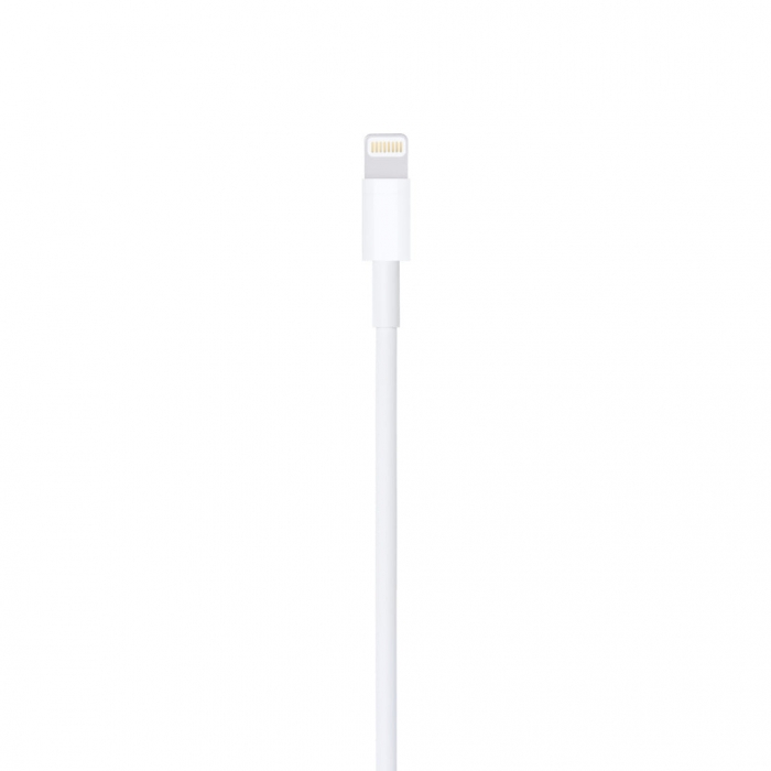 Apple Lightning to USB Cable (1M)