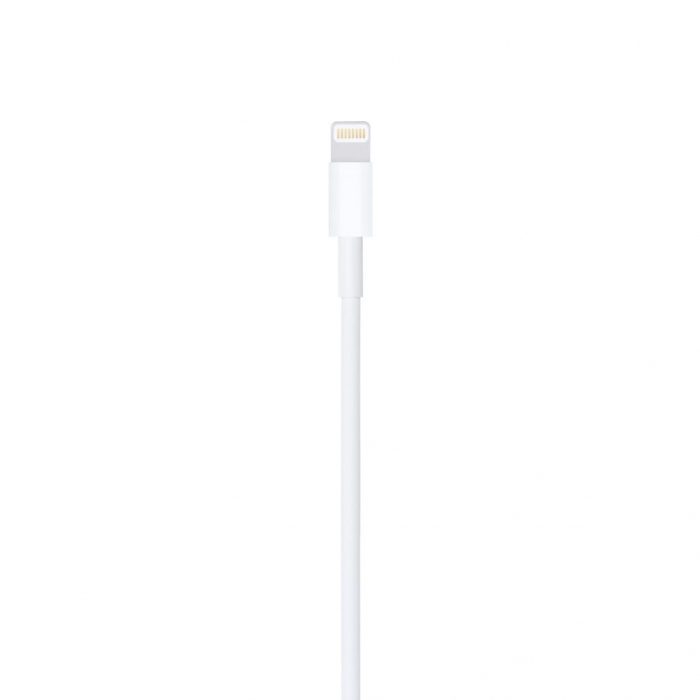 Apple Lightning to USB Cable (2M)