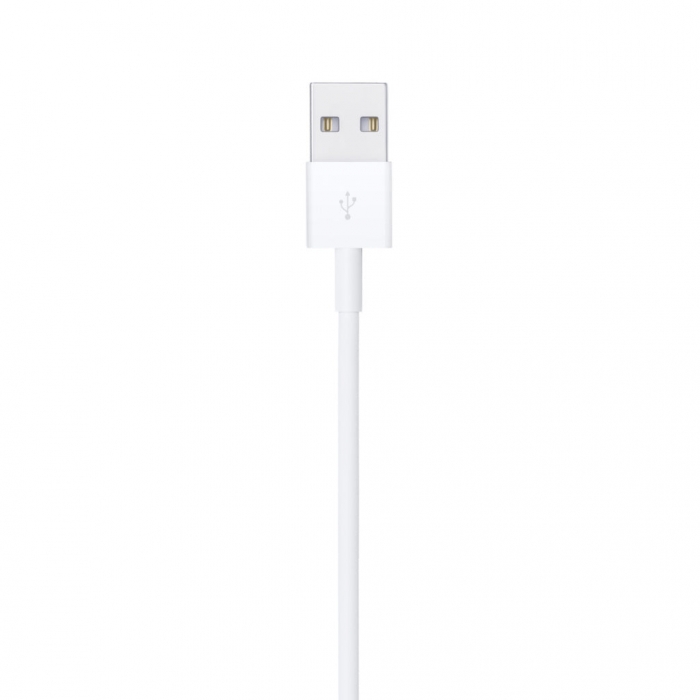 Apple Lightning to USB Cable (2M)