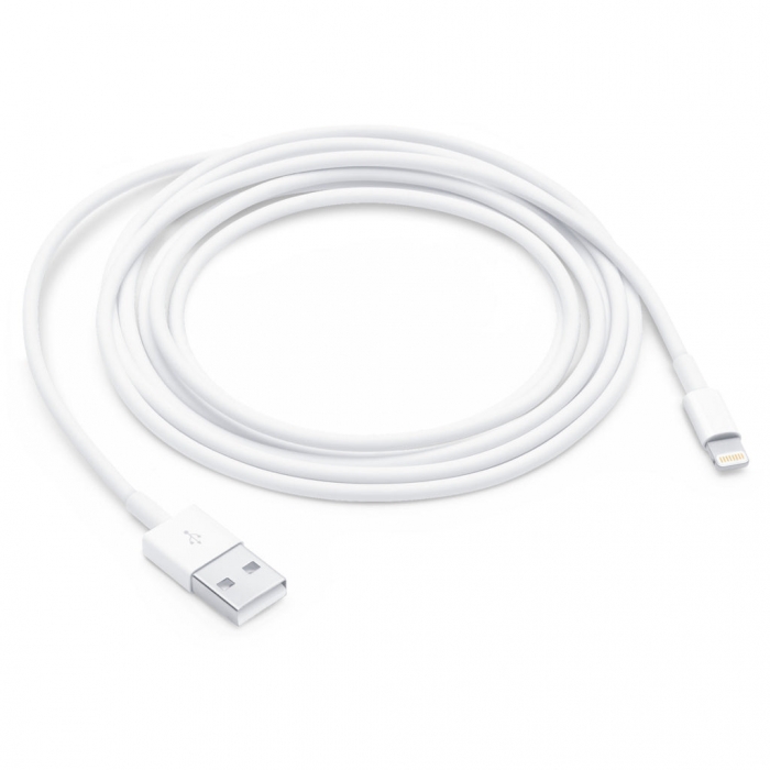 Apple Lightning to USB Cable (2M)